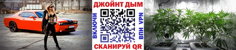 Бошки Шишки планчик  Находка 
